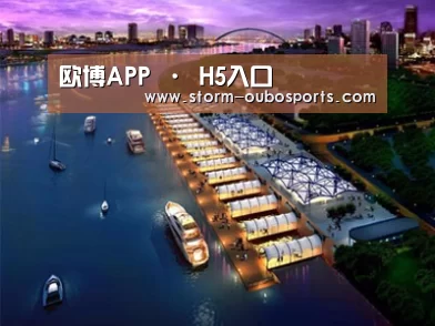 案例展示八