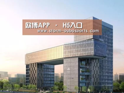 案例展示四