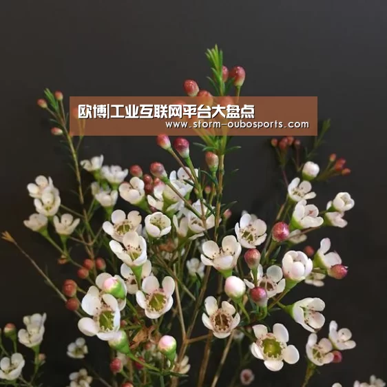 欧博|工业互联网平台大盘点(图2) 欧博官网