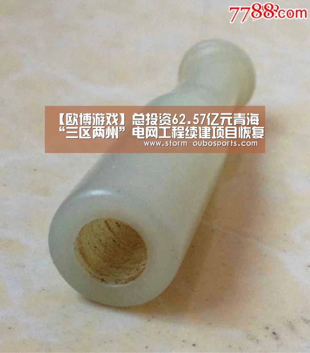 【欧博游戏】总投资62.57亿元青海“三区两州”电网工程续建项目恢复建设(图2) 欧博游戏