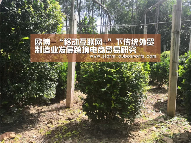 欧博