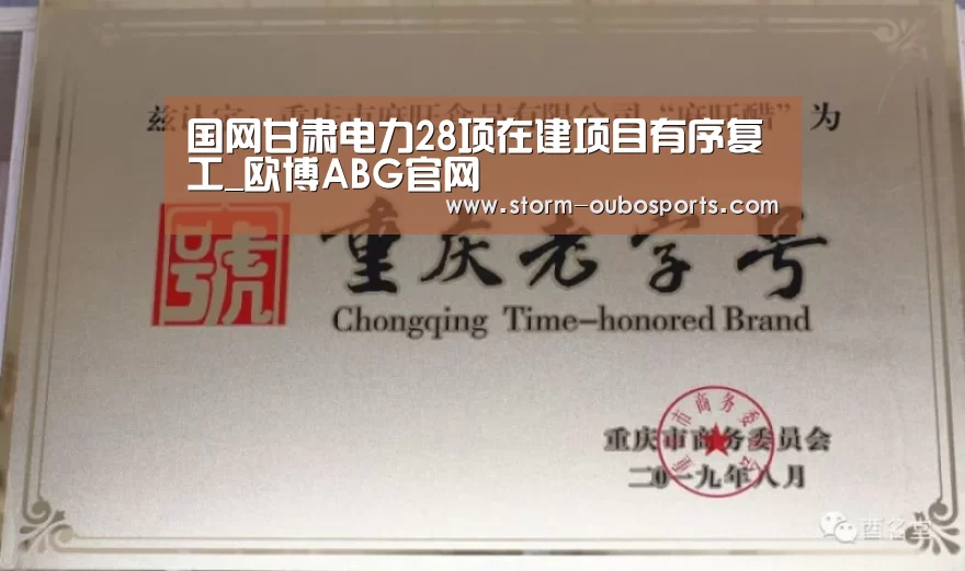 国网甘肃电力28项在建项目有序复工_欧博ABG官网(图1) 欧博ABG官网