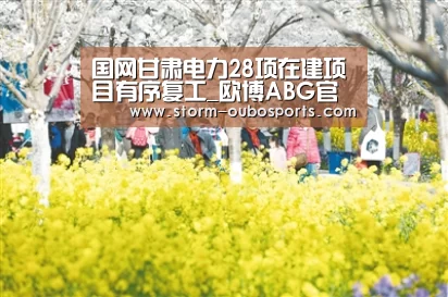国网甘肃电力28项在建项目有序复工_欧博ABG官网(图4) 欧博ABG官网